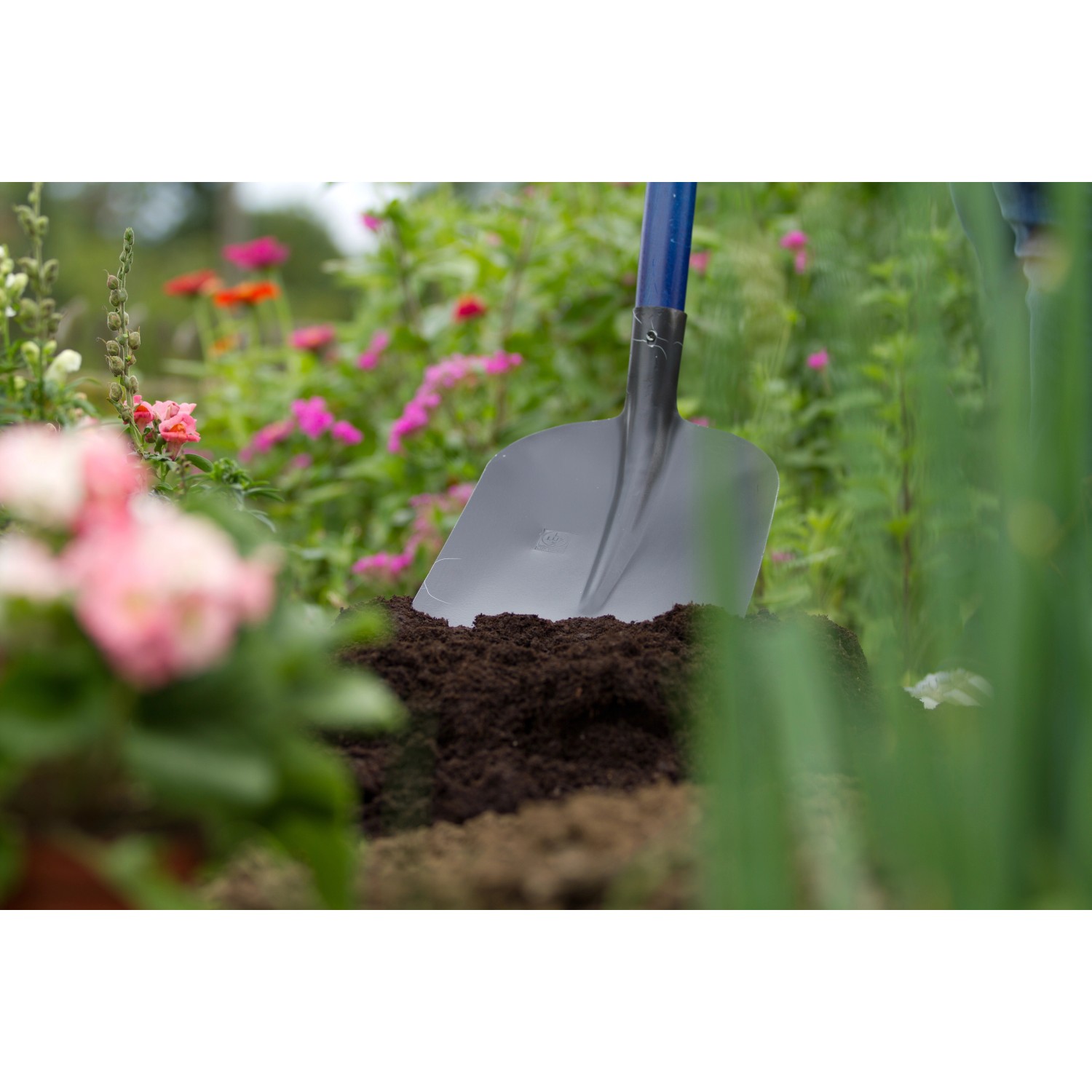 Schwarze LUX Frankfurter Schaufel mit Aufbug und 130 cm Eschenstiel im Garten.