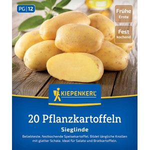 Kiepenkerl Pflanzkartoffeln Sieglinde, 20 Stück, gelbe, längliche Knollen. Speisekartoffeln für den Anbau im Garten.