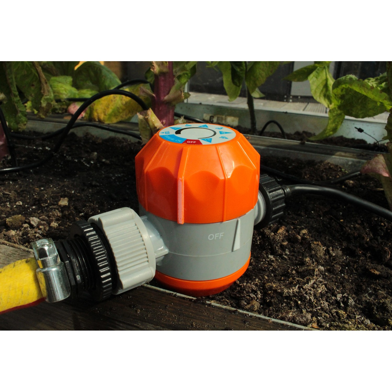 Bewässerungsuhr im Gewächshaus Calypso Vorzugsset für automatische Gartenbewässerung.