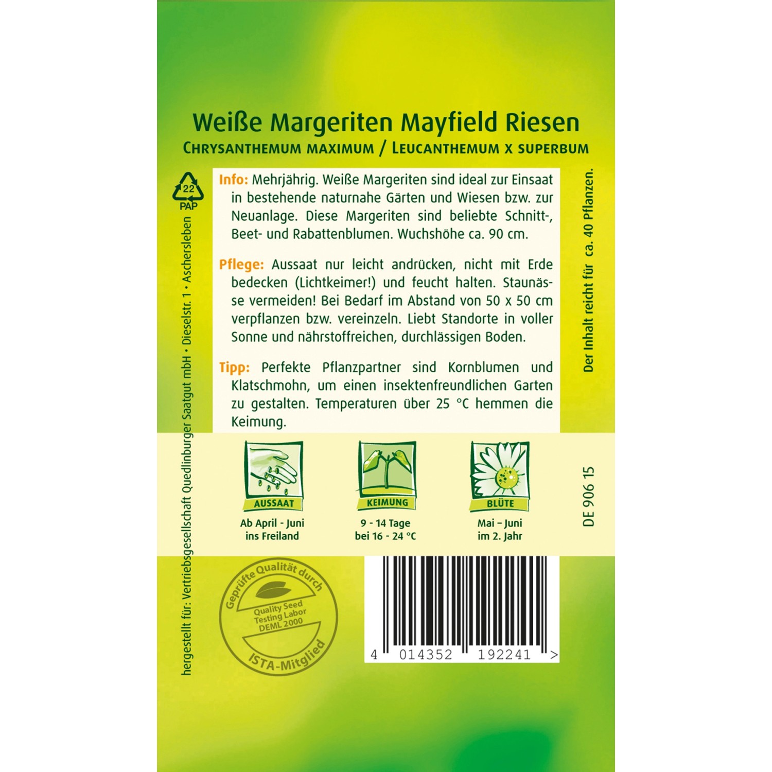 Samentüte Quedlinburger Weiße Margerite 'Mayfield' für Beet und Rabatte, Wuchshöhe ca. 90cm.