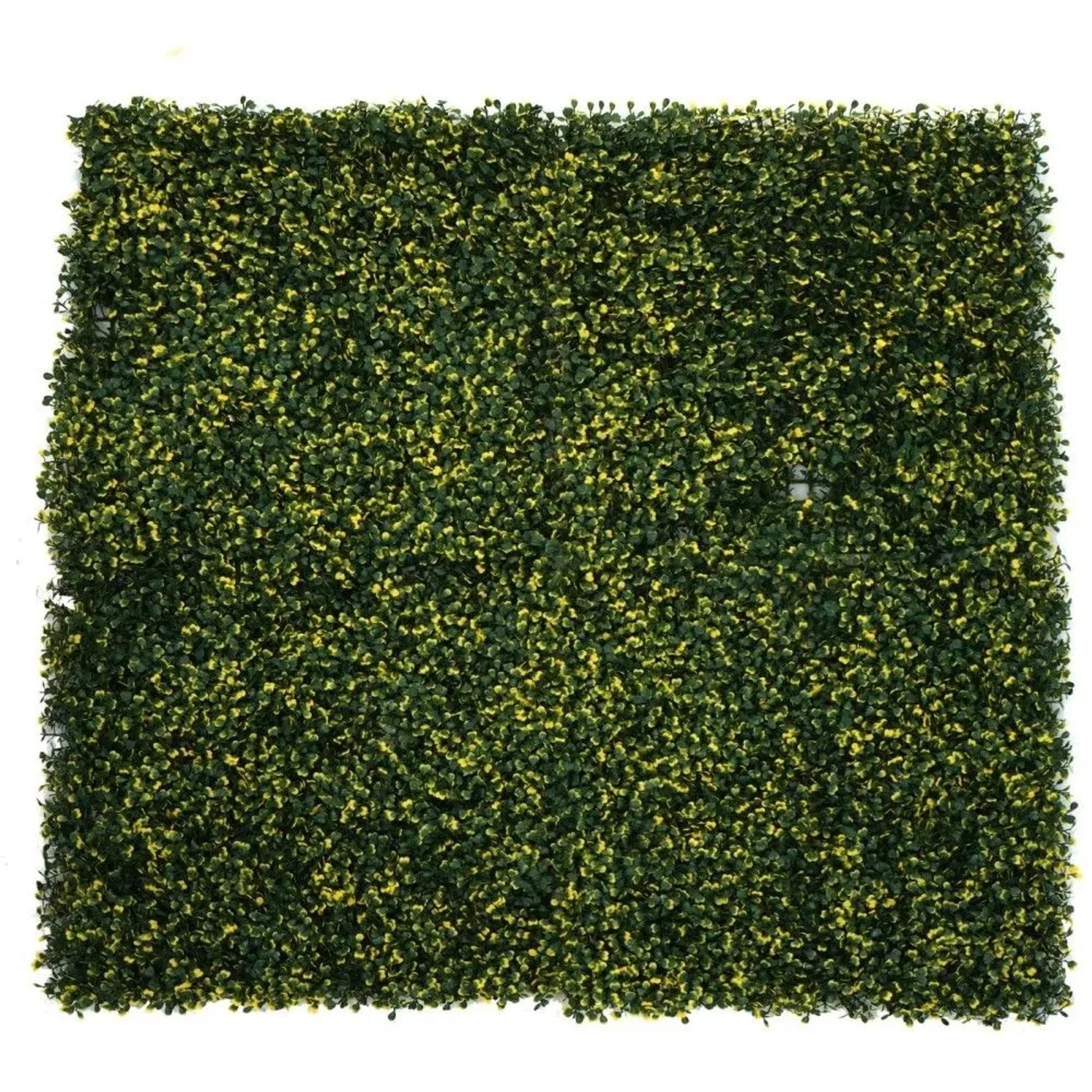 MCW Wandfliese L78, Buchs Grün-Gelb, für Balkon und Garten als Sichtschutz.