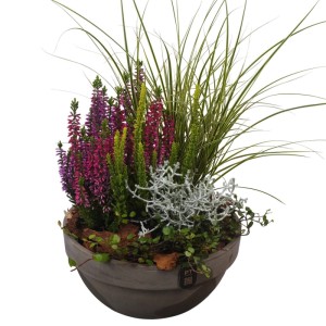 Herbstliches Arrangement im Terrakotta Topf mit Heide, Segge und Drahtstrauch.
