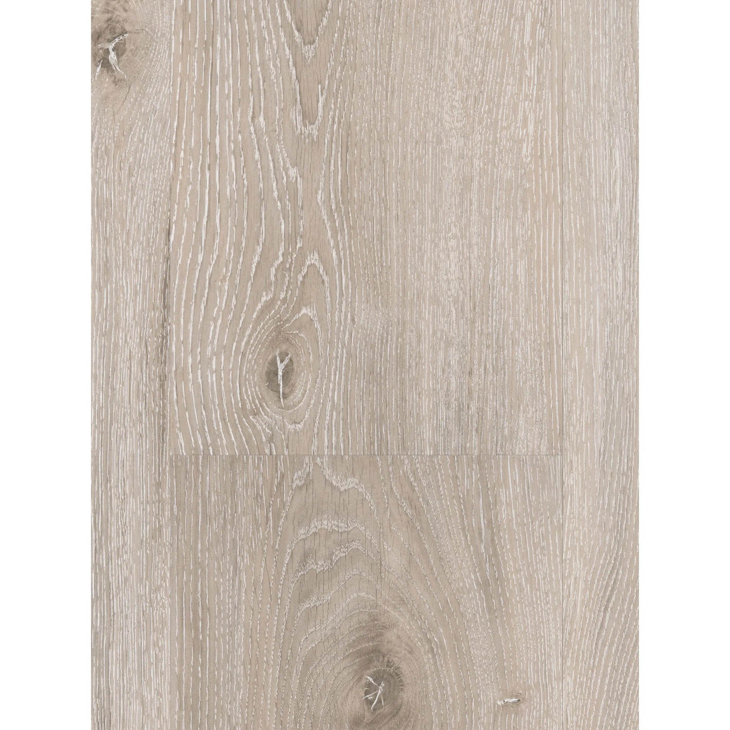 Parador Vinylboden Basic 4.3 Eiche Grau geweißt hell, Detailansicht der Holzoptik.