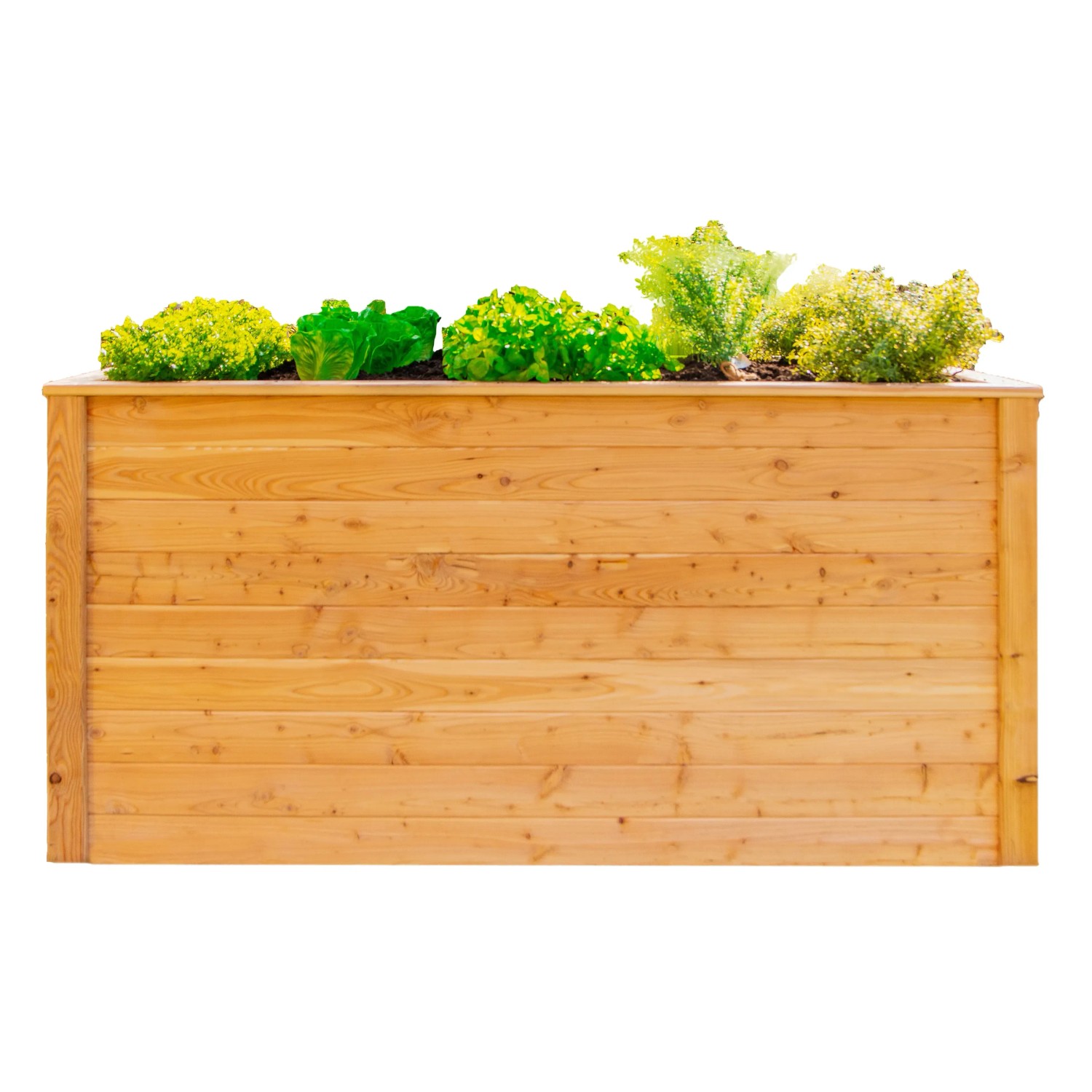 Pflanzkasten Holz kaufen bei OBI