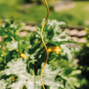 Bellissa Tomaten Spirale Colorata, 110 cm, honigfarben, Rankhilfe für Tomatenpflanzen im Garten.