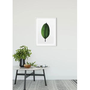 Wandbild Ficus Leaf (50x70 cm) im weißen Rahmen. Detailaufnahme eines einzelnen, grünen Blattes.