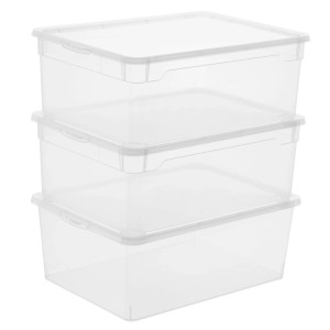 Rotho Clear Box-Set Men Shoe 10 l Transparent 3-teilig