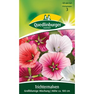 Quedlinburger Trichtermalve, großblumige Mischung in Rot, Rosa und Weiß.