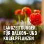 Compo Balkon- und Kübelpflanzendünger 1,2 kg_5