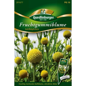Samentüte Quedlinburger Fruchtgummiblume mit gelben, kugelförmigen Blüten.