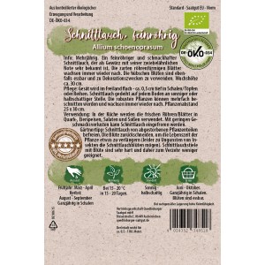 Bio-Schnittlauch Feinröhrig Samen von Quedlinburger, mehrjährig.