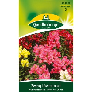 Quedlinburger Zwerg-Löwenmaul 'Wunderteppich' Blumensamen mit Blüten in Gelb, Rot und Rosa.