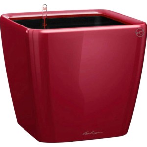 Lechuza Quadro Premium LS Pflanzgefäß, 22x22x21 cm, Scarlet Rot. Quadratischer Pflanzkübel mit Bewässerungssystem.