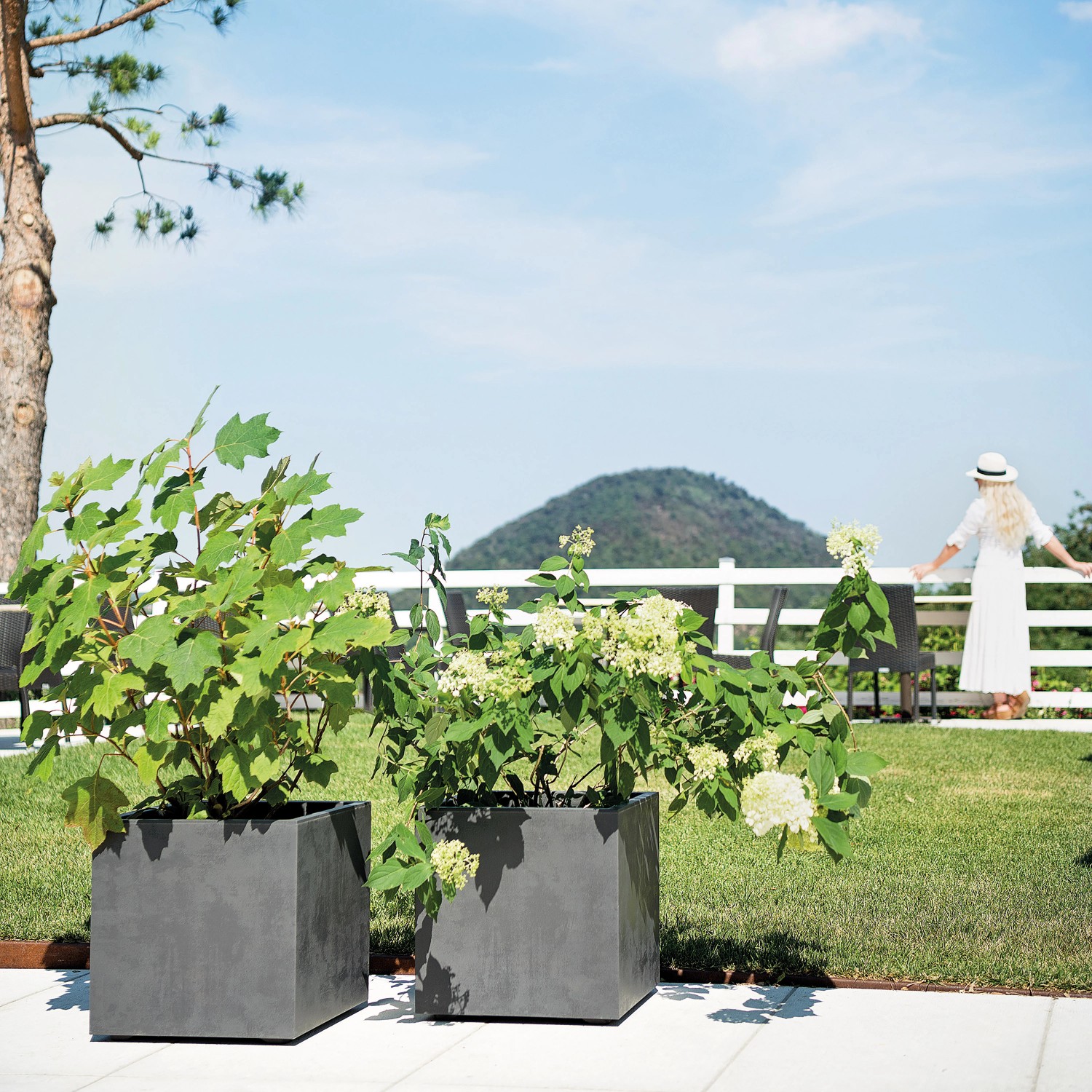 Zwei anthrazitfarbene Deroma Pflanzkübel Cubo Millennium mit Pflanzen im Garten.