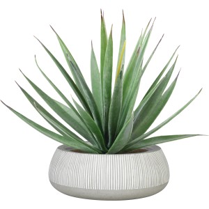 Weiße, runde Ficonstone Schale (Ø 52cm) mit grüner Pflanze, ideal für Garten und Terrasse.