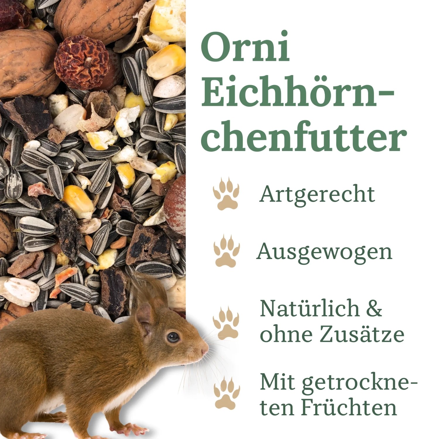 Orni Eichhörnchenfutter_2