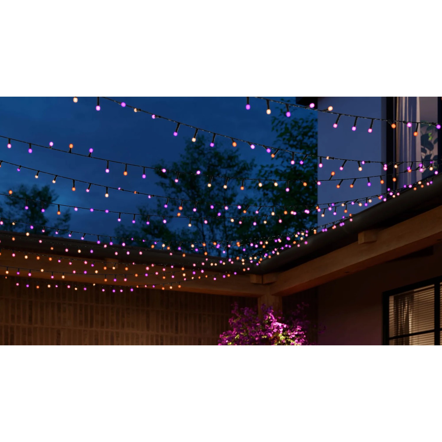 Philips Hue Festavia LED-Lichterkette, 500 LEDs, 40 m, schwarz, für Außen, mit bunten Lichteffekten.