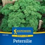Kiepenkerl Petersilie Mooskrause Grandeur, dicht gekrauste, grüne Blätter im Beet.