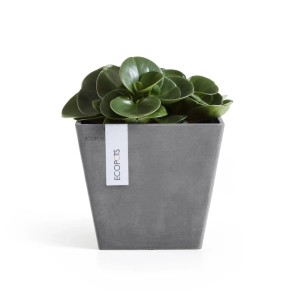 Ecopots Pflanztopf Rotterdam 20 cm x 20 cm x 17,5 cm Grau