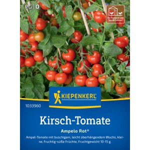 Kiepenkerl Kirschtomate Ampelo Rot F1-Hybride mit vielen roten, kleinen Tomaten.
