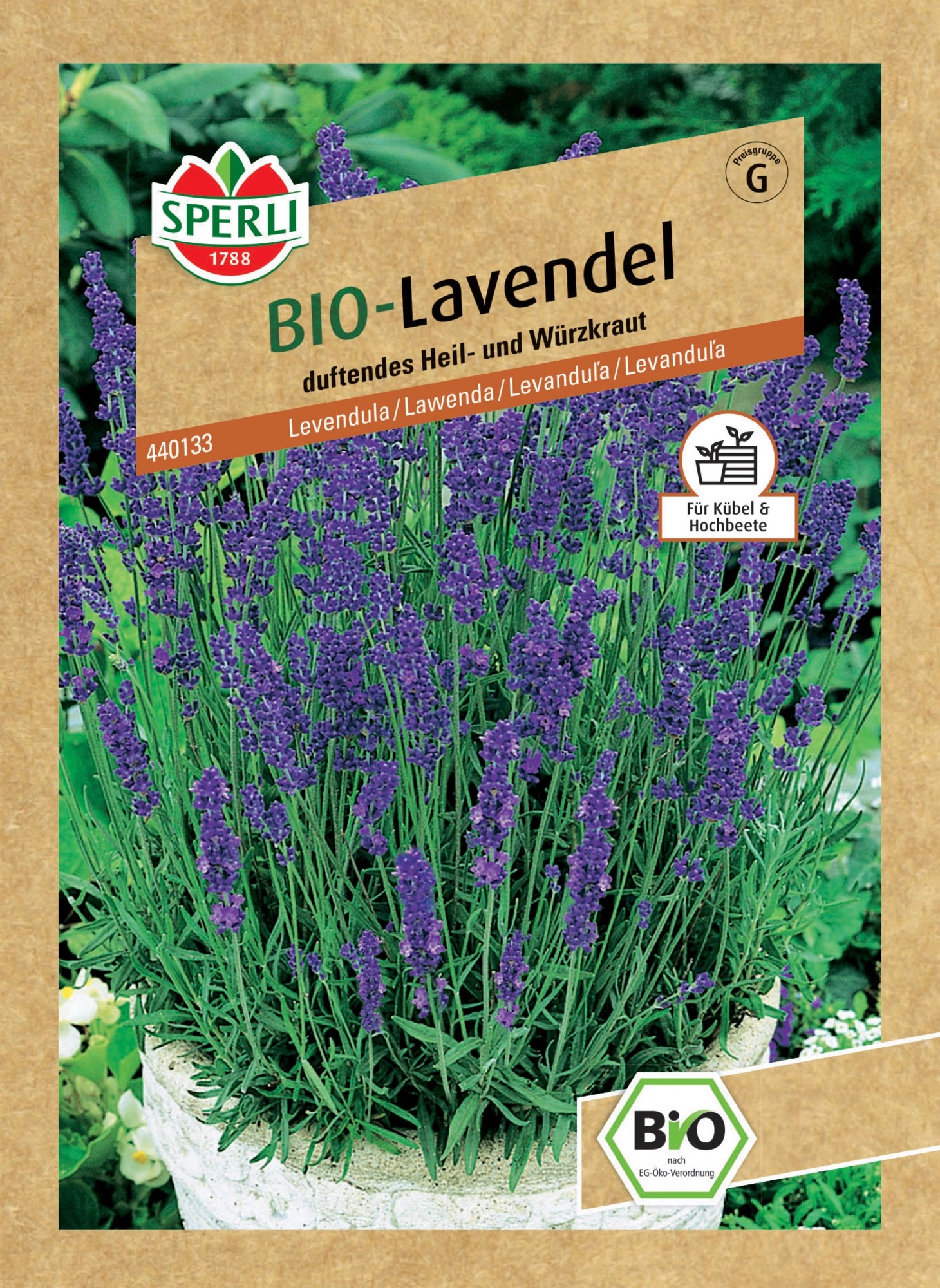 Sperli Bio Lavendel kaufen bei OBI