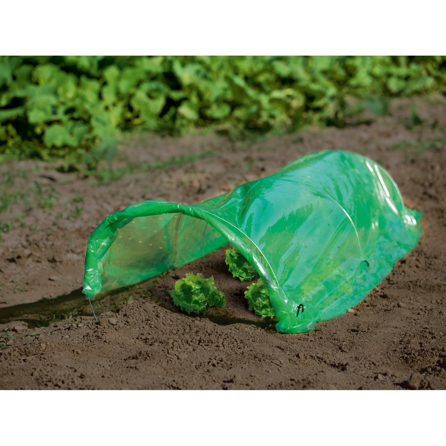 Grüner Folientunnel 1,2x3m schützt Pflanzen im Garten vor Regen und Sonne.