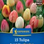 Kiepenkerl Triumph-Tulpen Pastell-Mix, 15 Blumenzwiebeln. Blühende Tulpen in Rosa, Gelb, Weiß für Garten & Kübel.