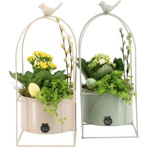 Pflanzenarrangement im Metallgefäß mit Kalanchoe und Pilea, frühlingshafte Tischdeko.