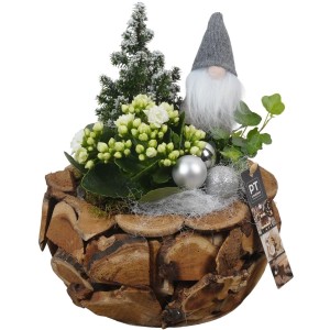 Winterliches Pflanzen-Arrangement im Holztopf Topf-Ø ca. 24 cm