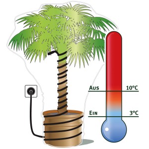 Illustration: Videx Garden Heizkabel schützt Palme im Topf vor Frost. Thermometer zeigt 3°C.