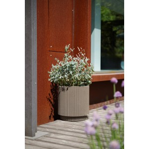 Beiger Capi Europe Blumentopf Zylinder Groove NL, Ø 44 cm, mit vertikalen Rillen und Bepflanzung.