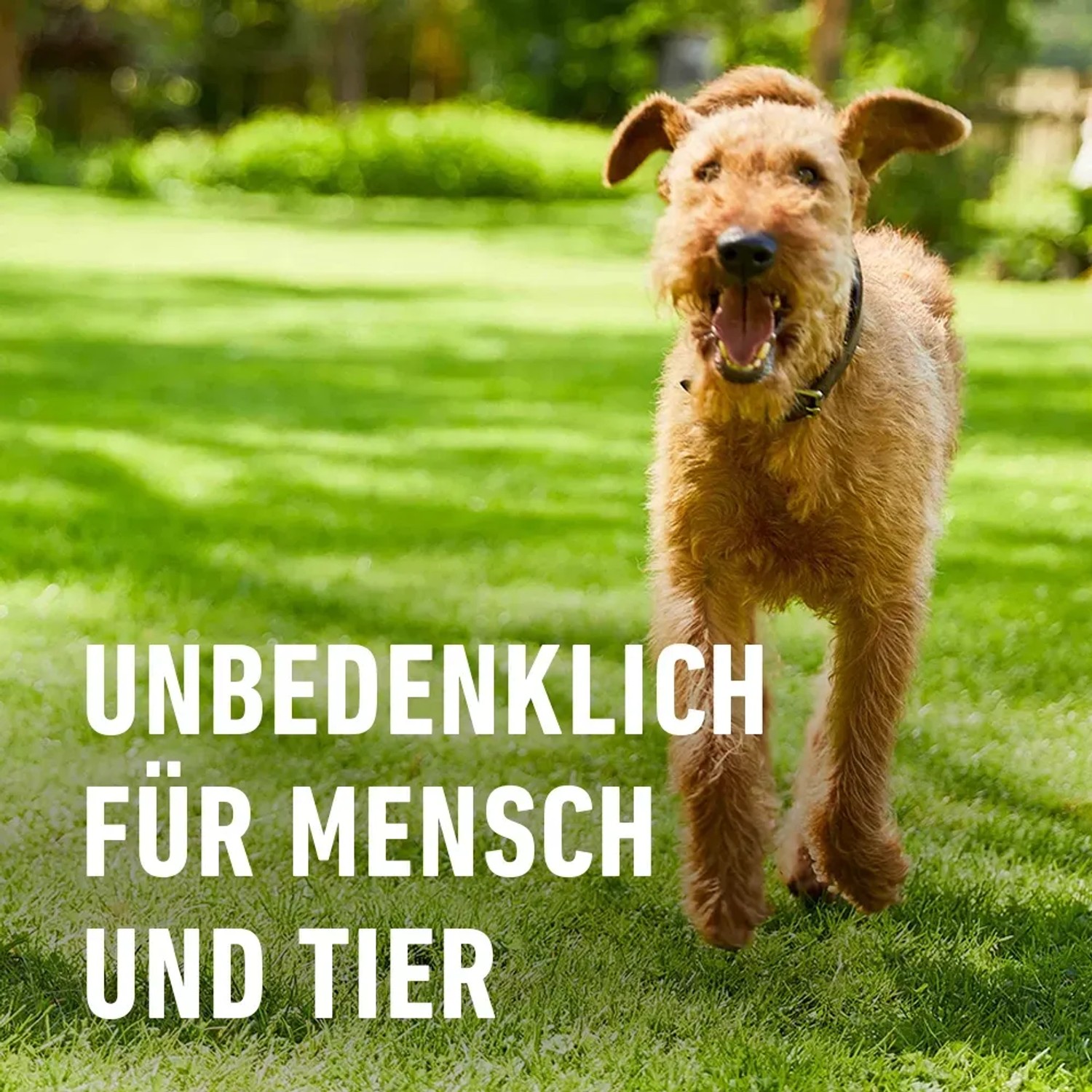 knstlicher weihnachtsbaum wetterfest Knstlicher Weihnachtsbaum - Noel | 120 cm kaufen