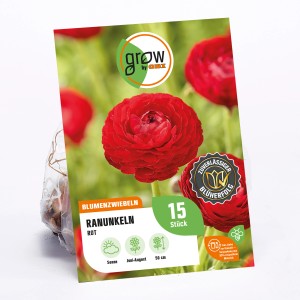 GROW by OBI Ranunkel Asiatisch Rot, Blumenzwiebeln für leuchtend rote Blüten im Garten.