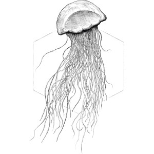 Wandbild: stilisierte, weiße Qualle (Jellyfish) vor geometrischem Hintergrund, 50x70 cm.