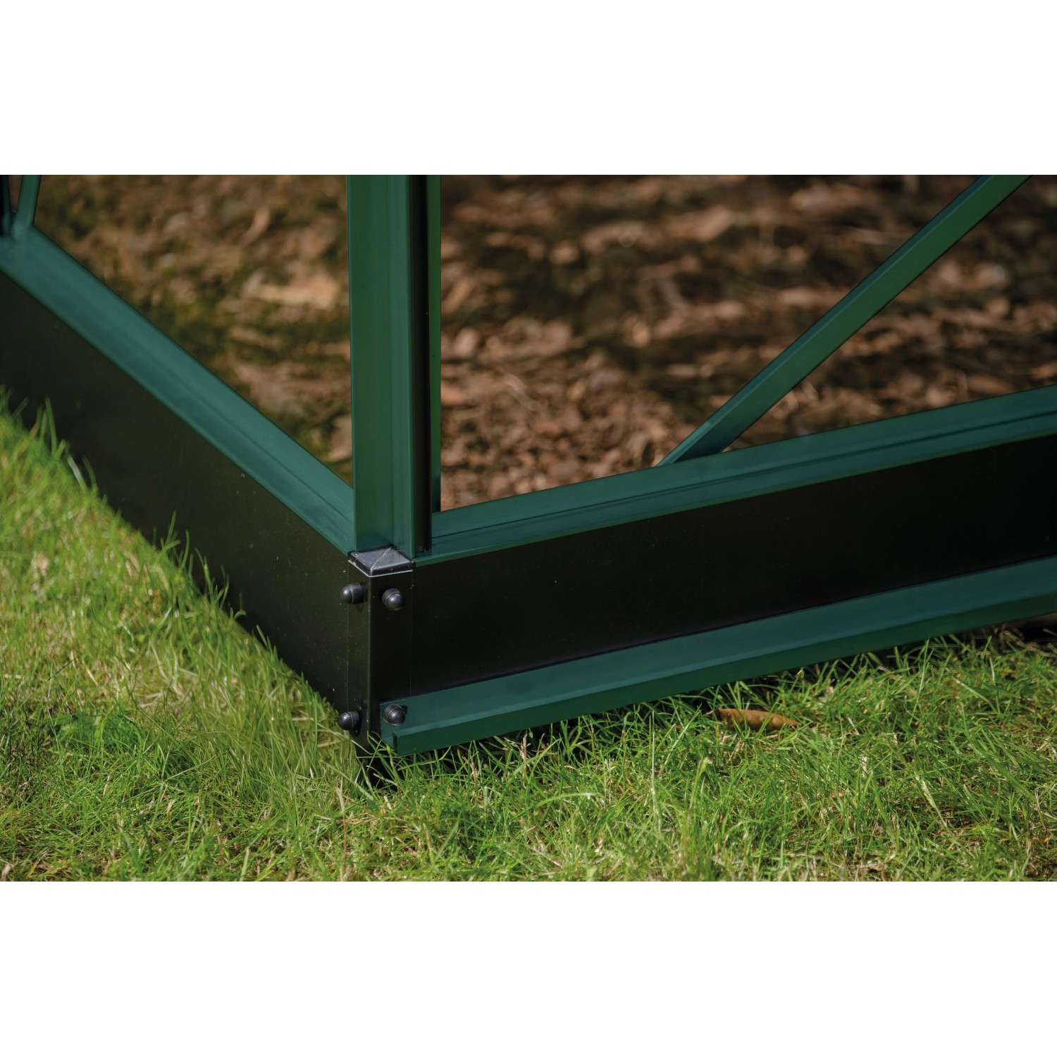 Halls Gewächshaus Icon 8 Grün 9,7 m²_6