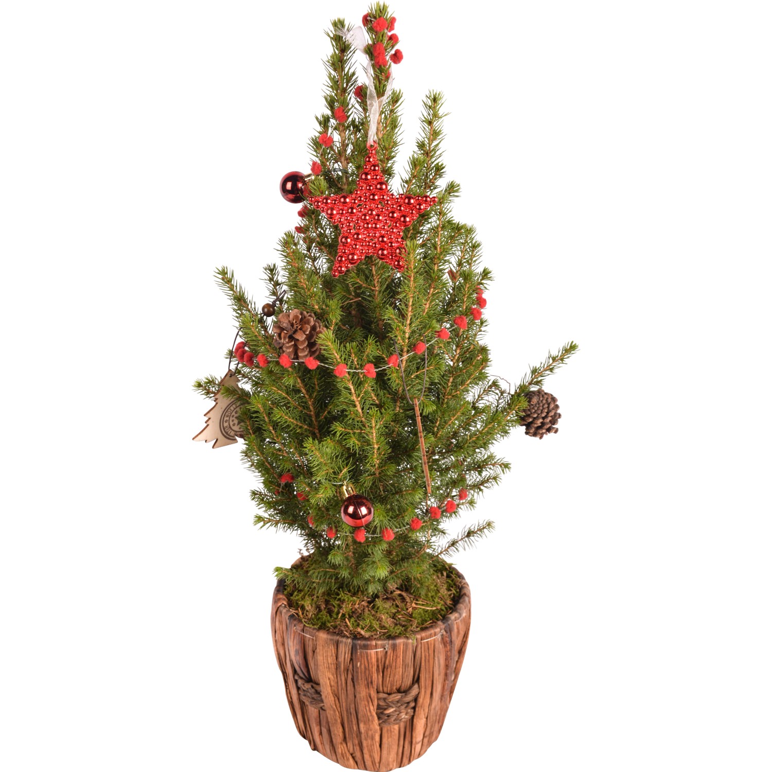 Weihnachtsbäume im topf kaufen bei OBI