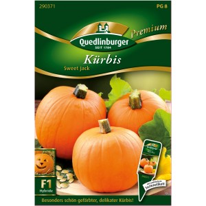 Quedlinburger Kürbis 'Sweet Jack', orange, runde Form, ideal zur Herbstdeko.