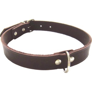 Braunes Heim Hundehalsband aus Softleder, 25 mm breit und 60 cm lang.