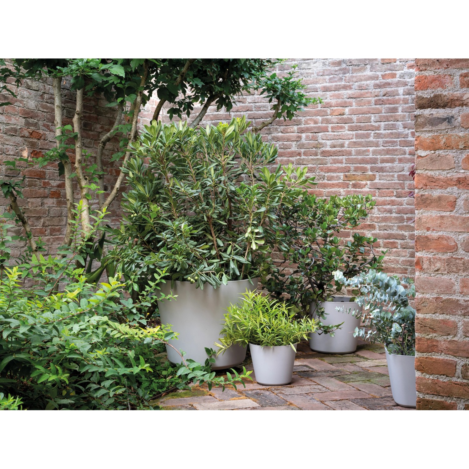 Helle, runde Deroma Pflanzentöpfe (Origin Plant Pot) in verschiedenen Größen im Garten.