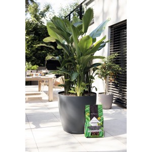 Lechuza Pon XXL Pflanzsubstrat (25L) neben bepflanztem Topf im Außenbereich.