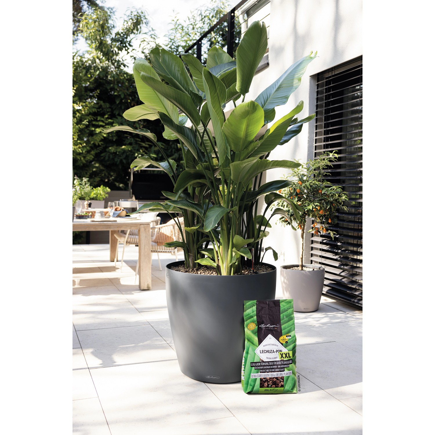 Lechuza Pon XXL Pflanzsubstrat (25L) neben bepflanztem Topf im Außenbereich.