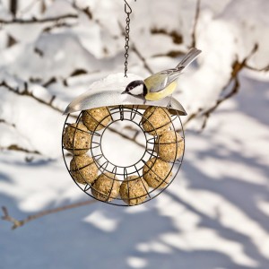 Meisenknödelhalter mit Meise im Winter. Vogelfutterspender mit Metallring und Dach.