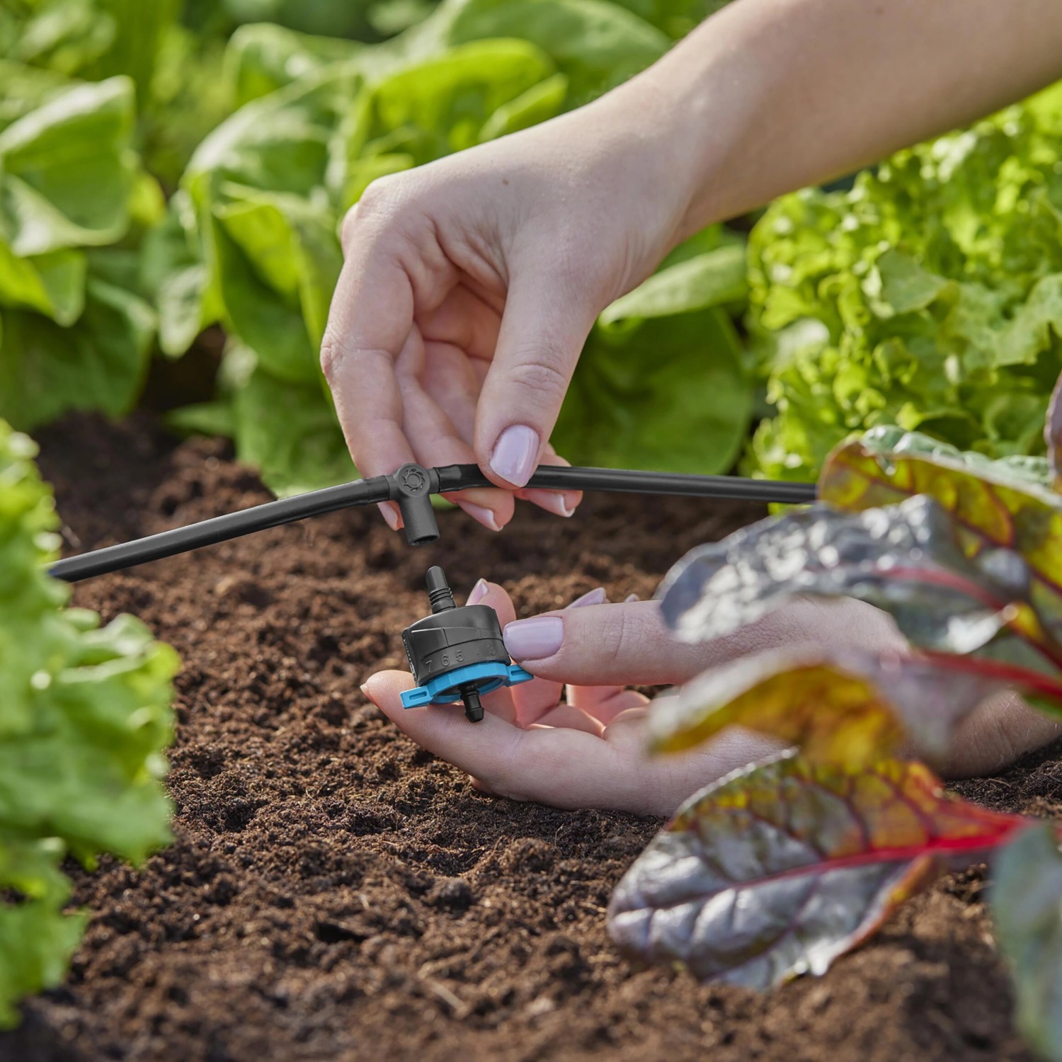 Gardena TStück für Sprühdüsen/Endtropfer 4,6 mm (3/16") 5 Stück kaufen