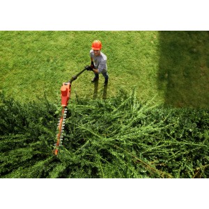 Skil Akku-Teleskop-Heckenschere 0640CA im Einsatz beim Heckenschnitt.