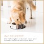 Goldener Retriever frisst Supravit Mix Super Trockenfutter aus silbernem Napf auf hellem Boden. Ausgewogenes Hundefutter.