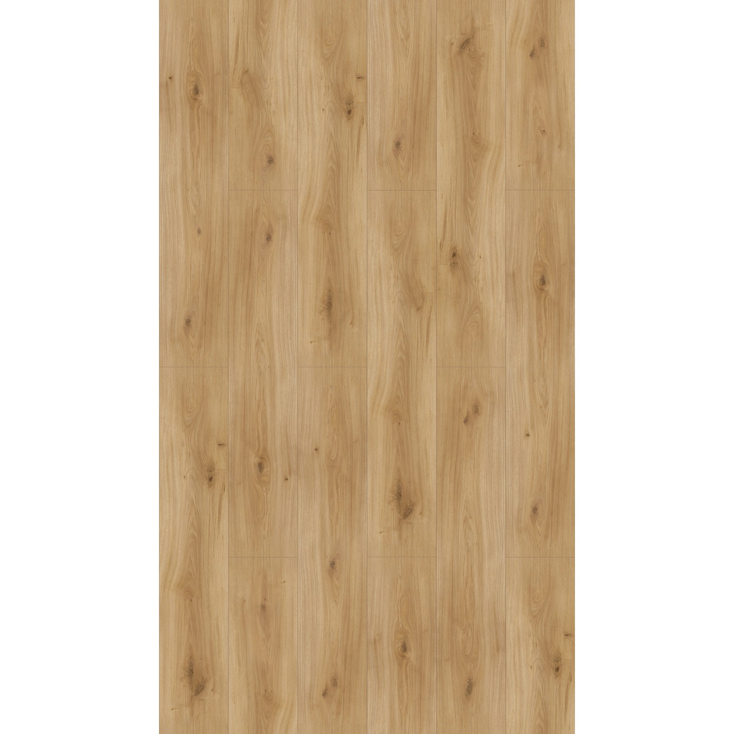 Parador Laminat Basic 600 Eiche Horizont Natur, wasserfest, 8mm stark.