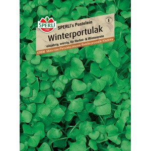 Samenpackung Sperli Winterportulak, vitaminreicher Wintersalat für die Aussaat im Herbst.