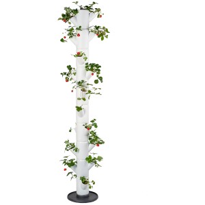 Weißer Gusta Garden Erdbeerturm Sissi mit Erdbeerpflanzen, ideal für den vertikalen Garten.