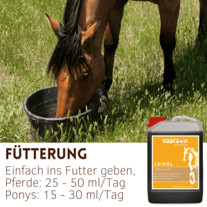 Pferd frisst auf Wiese aus Eimer. Supravit Leinöl Liquid für Pferde, kaltgepresstes Pferdefutter in Flasche.