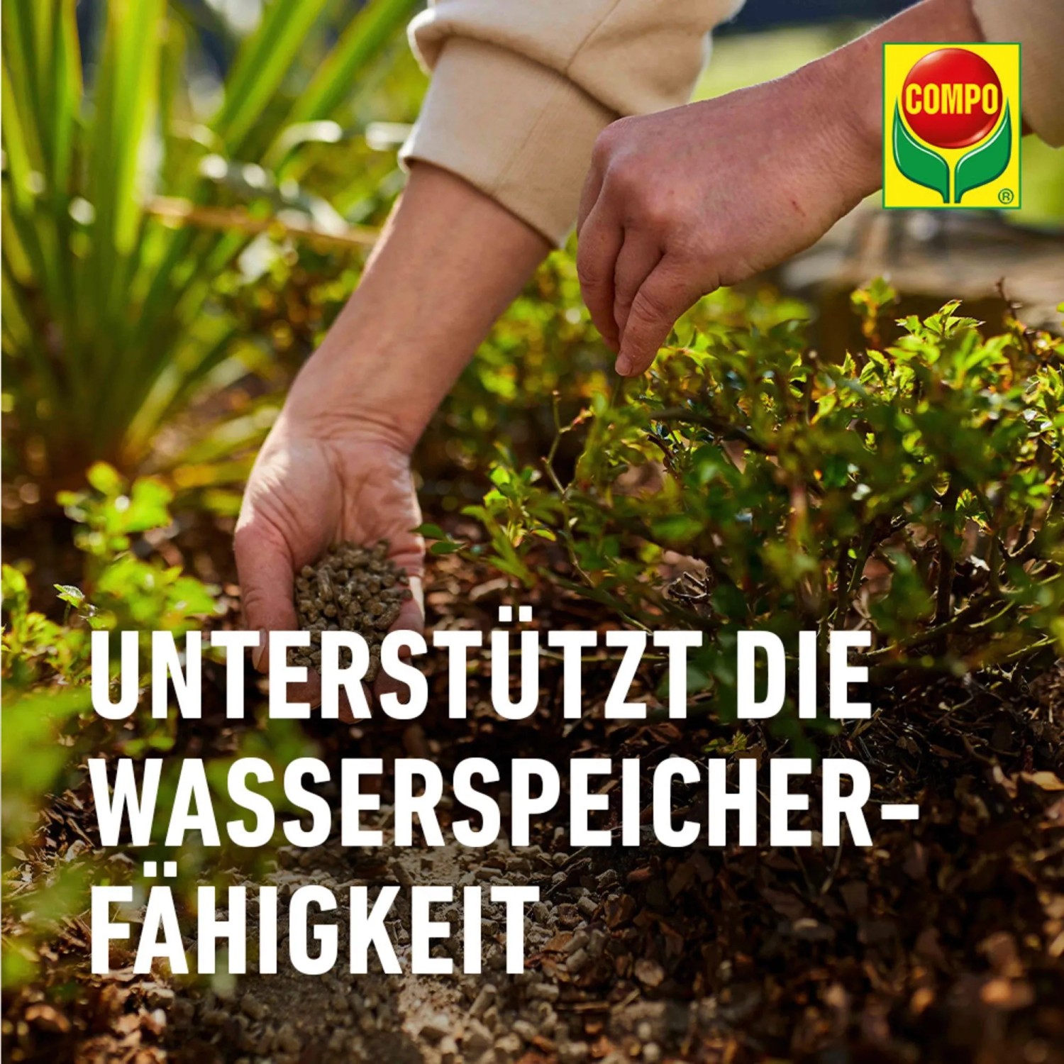 Compo Bio Rosen Langzeit-Dnger mit Schafwolle 750 g kaufen bei OBI